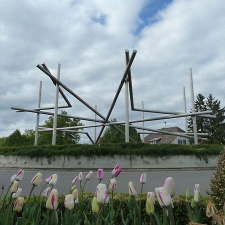 Muehlerain Appartement Heitersheim Buitenkant foto